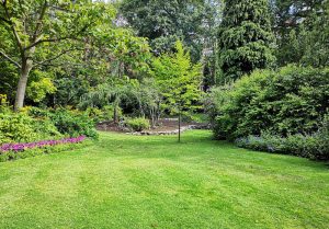 Optimiser l'expérience du jardin à Saint-Biez-en-Belin